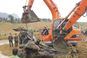 Vụ trục vớt gỗ sưa: Gỗ sưa tiền tỉ đã được đưa lên bờ